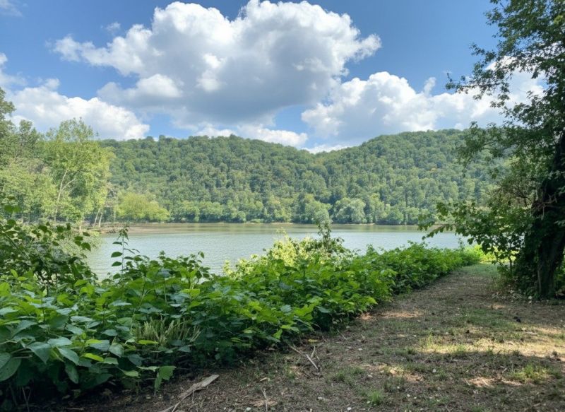 Best Bathroom Remodeling pros in Indiana, PA